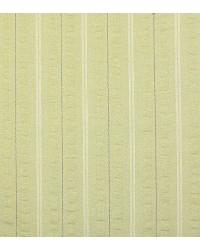 Park Avenue Green Tea In Stock Fabrics